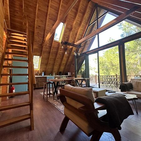 Panurlawoodenhouse Oezel Havuz& Sauna Mavi Kültér fotó