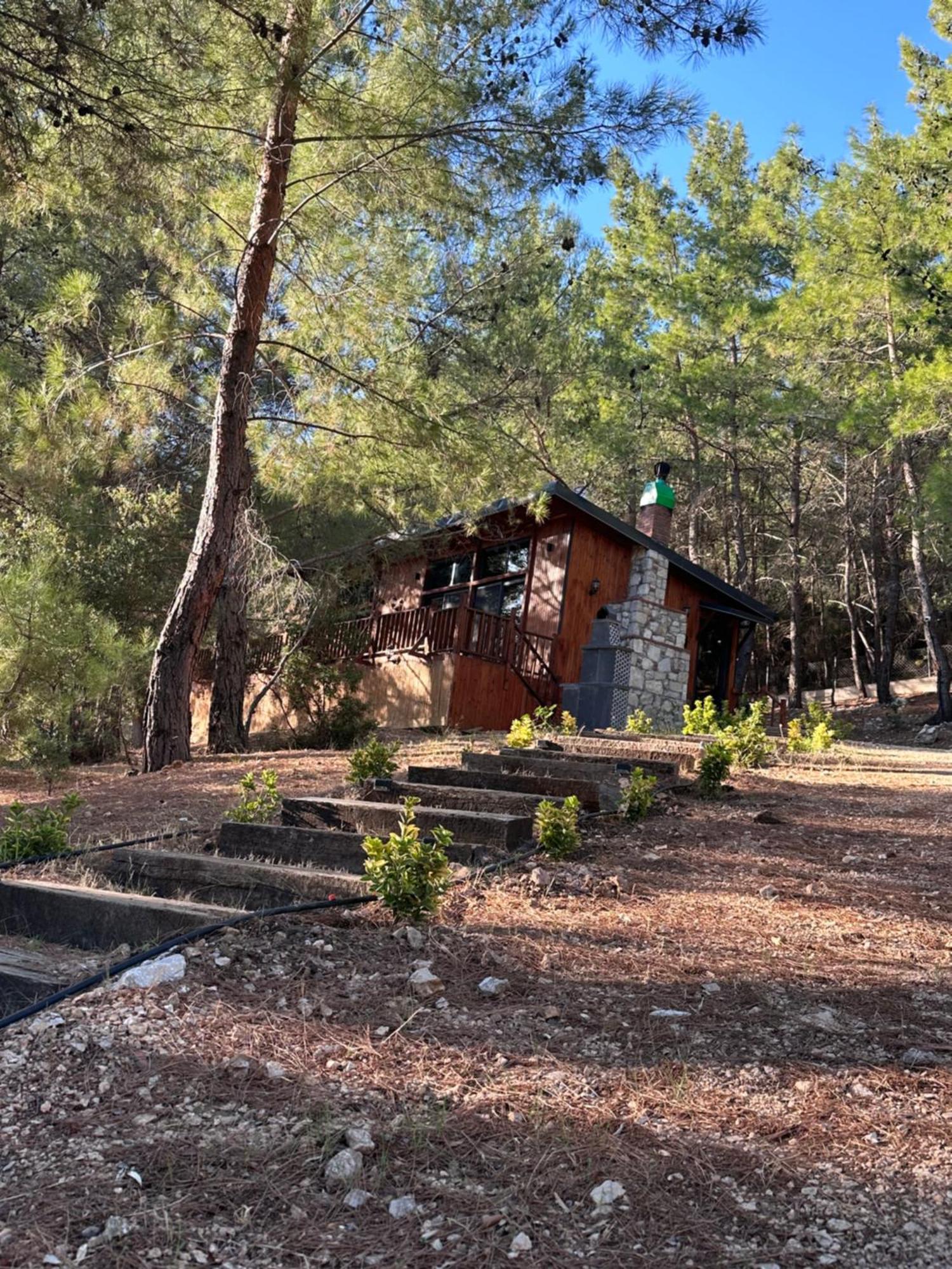 Panurlawoodenhouse Oezel Havuz& Sauna Mavi Kültér fotó